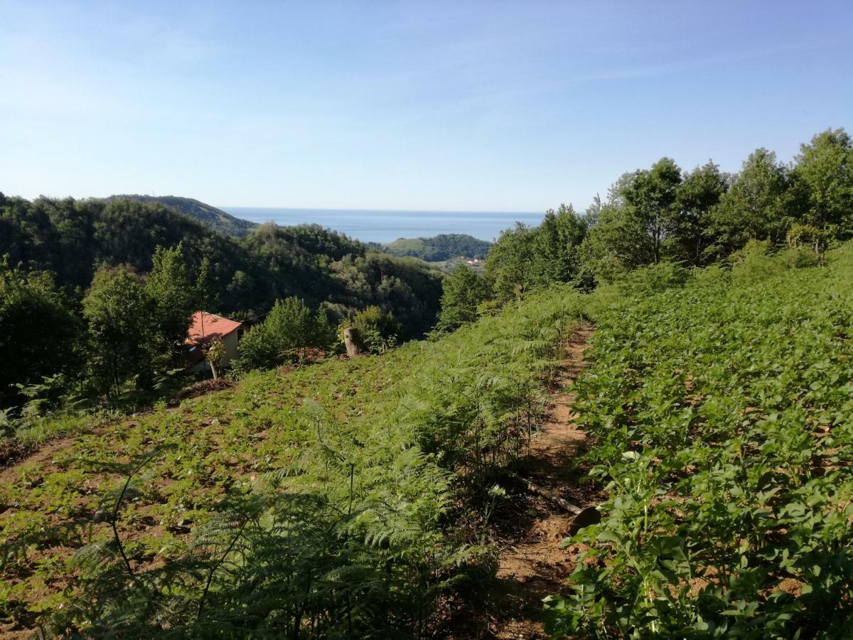 Villa Agriturismo Verdure Naturali Genua Exterior foto